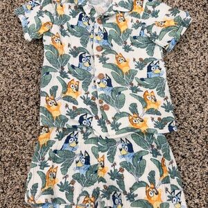 Linen Bluey 2 piece short set